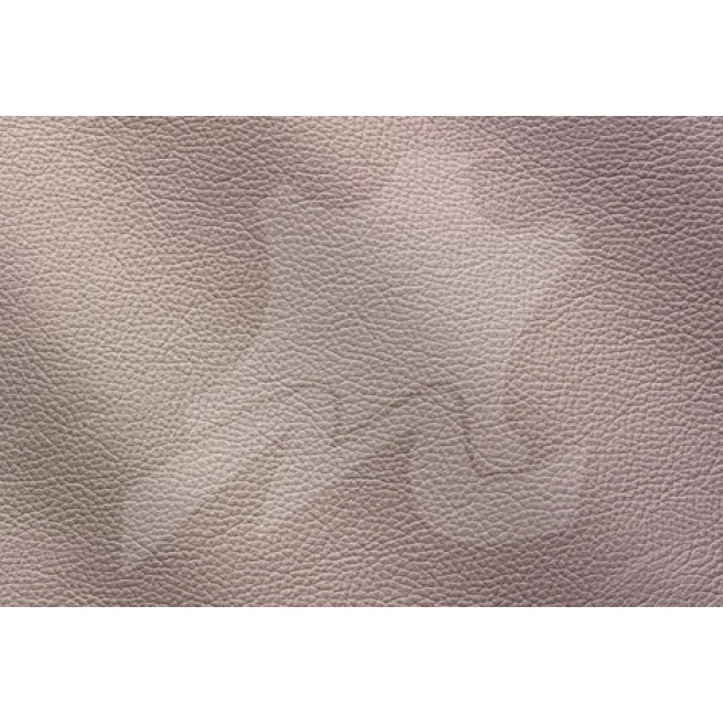 Aligo Group фото